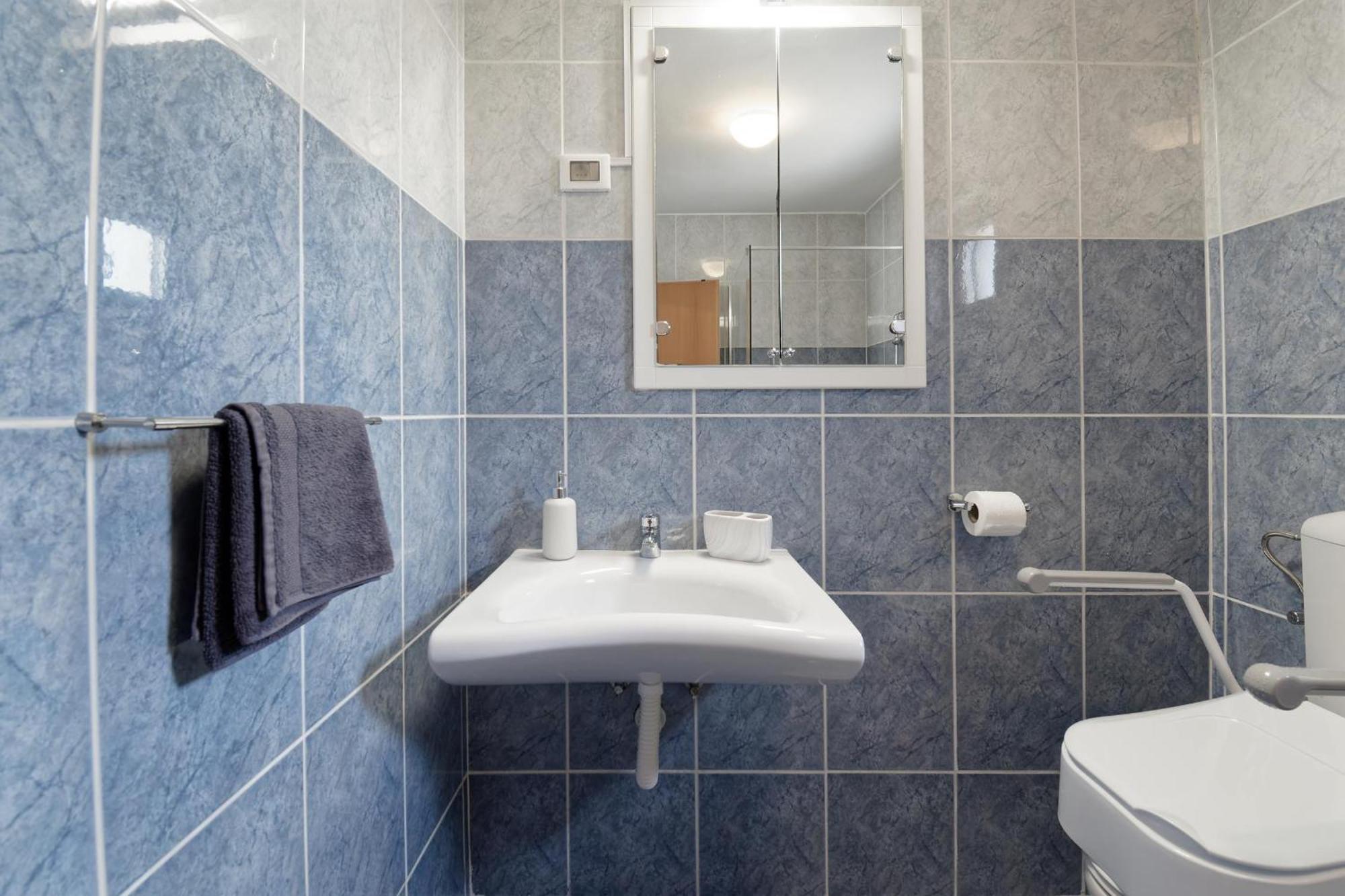 Apartment Larissa By Rent Istria Вишнян Экстерьер фото